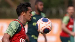 Cesar Greco/Palmeiras