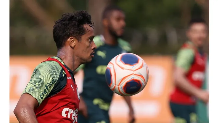 Cesar Greco/Palmeiras