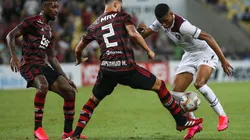 Divulgação