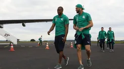 Foto: Divulgação/Palmeiras