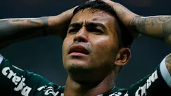 Foto: Cesar Greco/Palmeiras.