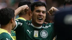 Cesar Greco/Agência Palmeiras