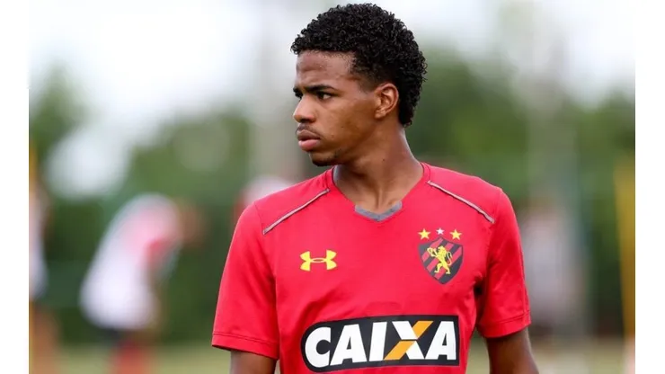 Divulgação