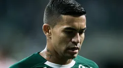 Palmeirense, o copo está meio cheio ou meio vazio?