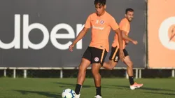 "Limpa" no Inter tem José Aldo e outros 4 atletas