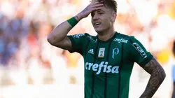 Róger Guedes precisa de "aval" interno para voltar ao Palmeiras