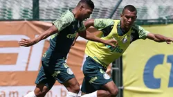 Cesar Greco/Palmeiras