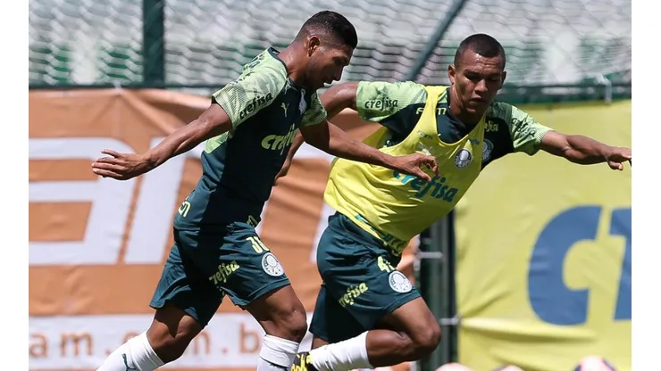 Cesar Greco/Palmeiras