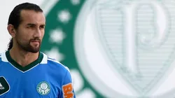 Barcos destrincha sua passagem pelo Palmeiras em 2012