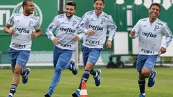 Botafogo observa lateral do Palmeiras: "Nossa relação é a melhor possível"