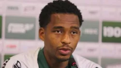 Divulgação/Coritiba