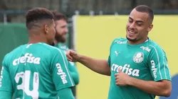 Foto: Cesar Greco/Ag. Palmeiras/Divulgação