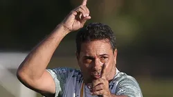 Foto: Cesar Greco/Palmeiras.