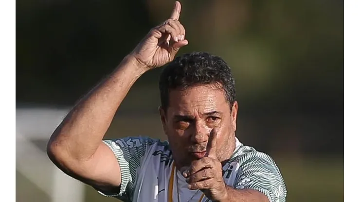 Foto: Cesar Greco/Palmeiras.