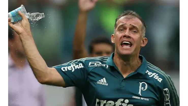 Foto: Cesar Greco/Palmeiras.