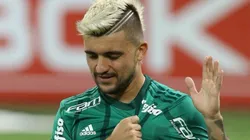 Cesar Greco/Palmeiras