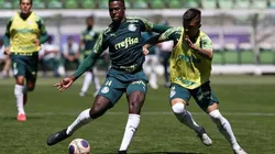 Cruzeiro entra em contato com o Palmeiras por reforço para a defesa