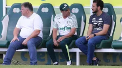 Cesar Greco/Palmeiras