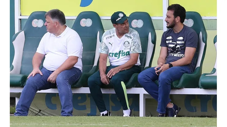 Cesar Greco/Palmeiras