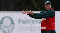 Foto: Cesar Greco/Palmeiras/Divulgação