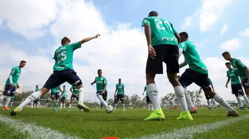 Palmeiras/Divulgação