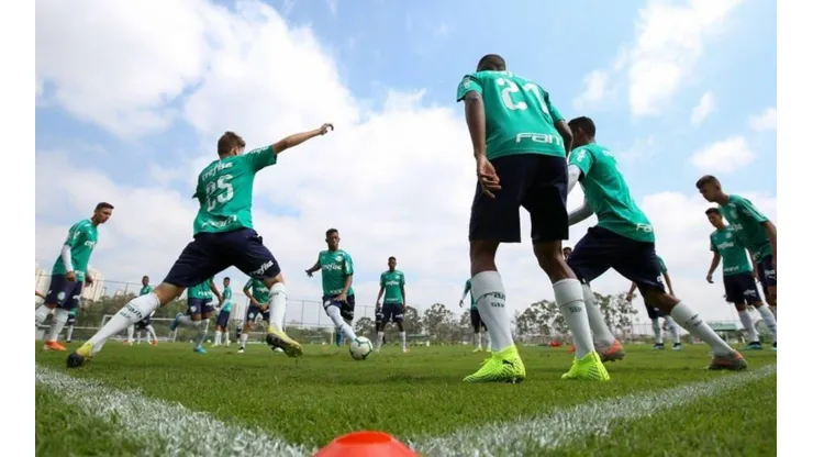 Palmeiras/Divulgação