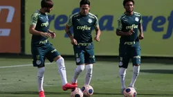 Foto: Cesar Greco/Palmeiras.