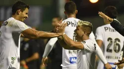 Ivan Storti/Santos FC