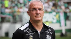 (Foto: Ricardo Saibun/SFC)