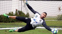 Vladmir vira "dor de cabeça" e Santos pode perder outros quatro jogadores