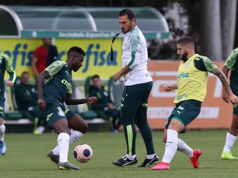 Meio-campista do Palmeiras mira Seleção