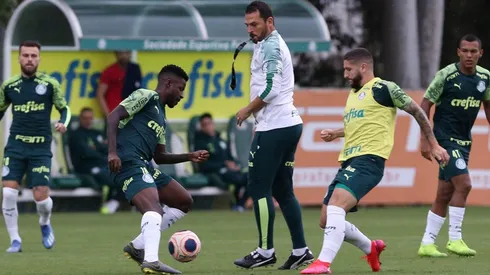 Cesar Greco/Palmeiras