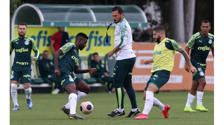 Cesar Greco/Palmeiras
