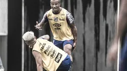 Foto: Ivan Storti/Santos FC.