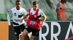 Foto: Ivan Storti/Santos FC