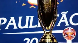 PVC detalha plano da FPF para retomada dos treinos em junho