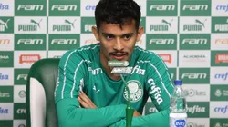 Cesar Greco/Palmeiras