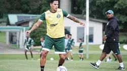 Divulgação/Coritiba