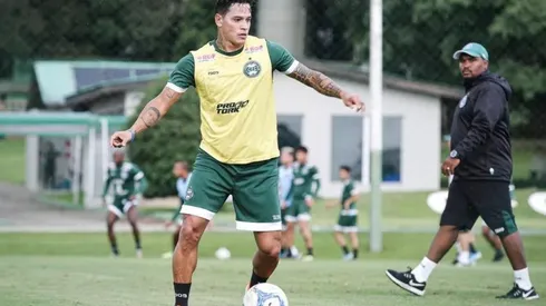 Divulgação/Coritiba