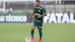 Foto: Cesar Greco/Palmeiras