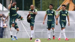 Cesar Greco/Palmeiras