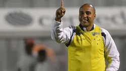 Cruzeiro/Divulgação