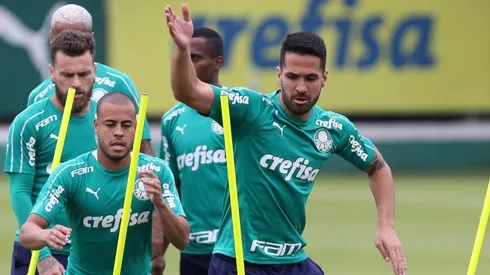 Divulgação/Palmeiras