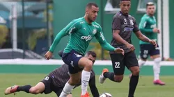 Crédito: Cesar Greco/Ag Palmeiras/Divulgação