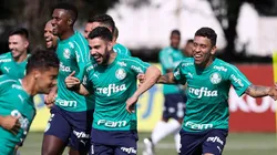 Cesar Greco/Palmeiras