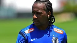 Foto: Ivan Storti/Santos FC.