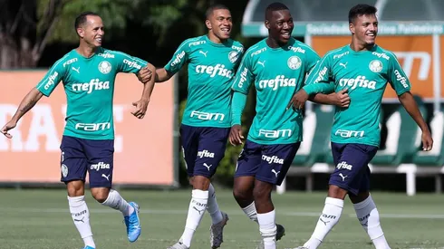 Cesar Greco/Palmeiras