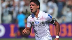 Foto: Divulgação/Santos