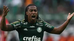 Crédito: Cesar Greco/Ag Palmeiras