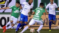 Foto: Divulgação / FCF